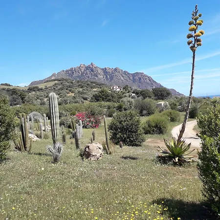 Casa Diana Semesterbostad *