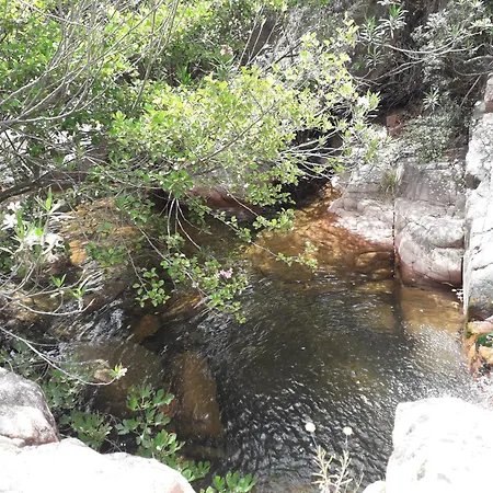 Semesterbostad Casa Diana *